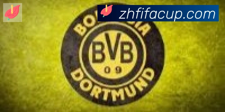 FIFA世界杯比分官方网站合作伙伴